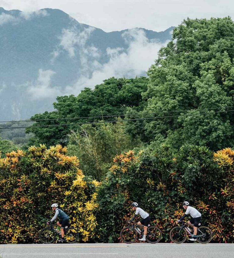 高山、雲海、密林、翠谷、藍色太平洋，這是環花東自行車365公里大賽的美景，十分舒暢。 (互傳媒記者魏冠中花蓮傳真)