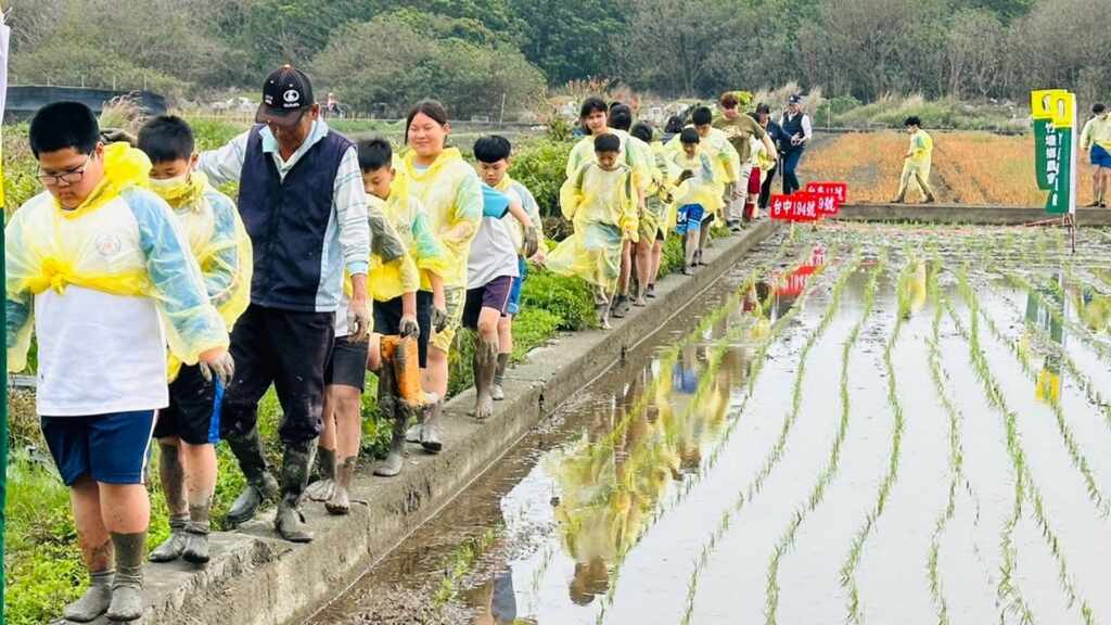 ▲為了讓學生方便探究水稻生長過程,竹塘鄉農會特別安排耕種的田地正位於學校的門口,學生只要站在田埂上就能近距離觀察每個階段水稻的生長狀況。(土庫國小提供)