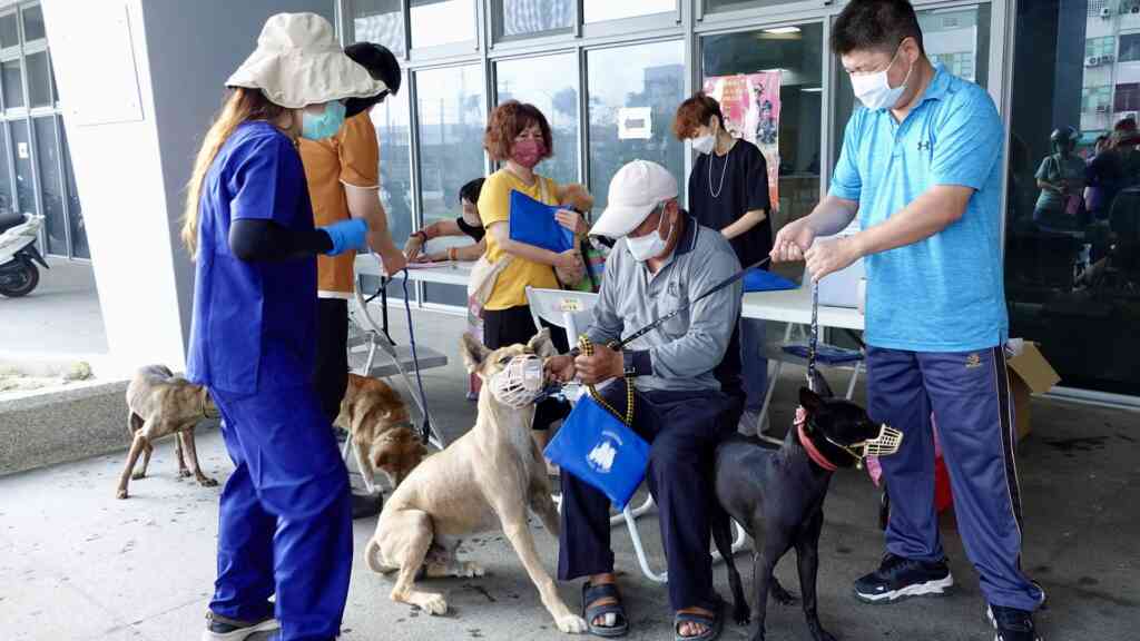 犬貓狂犬病疫苗、寵物登記　百餘毛孩到福興鄉公所施打