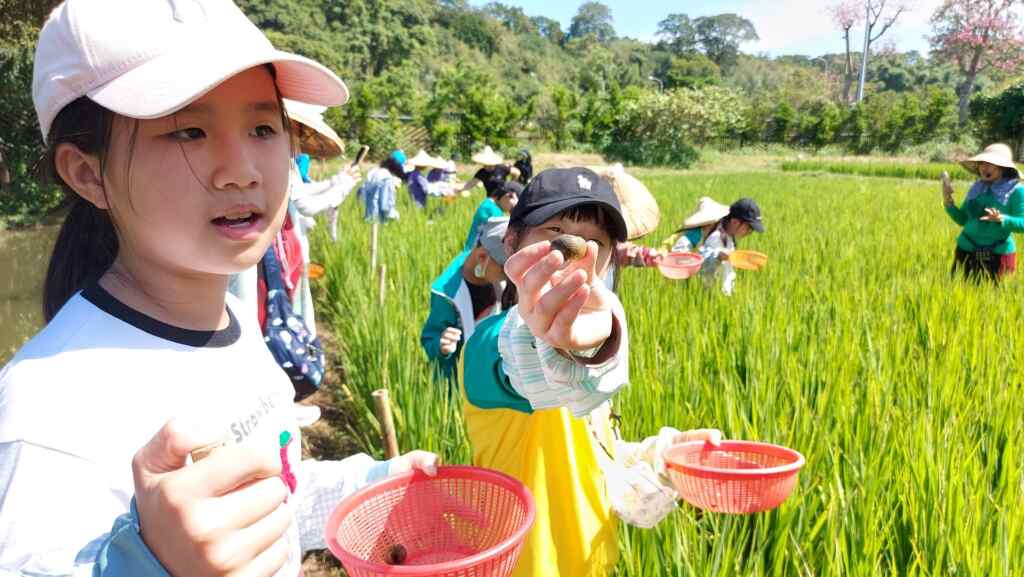 ▲不管稻田裡挲草、抓福壽螺，或在種植蔬菜，都希望學生能獲得真實的經驗。（福德國小提供）