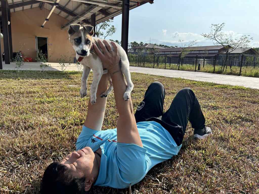 屏東縣動物之家將舉辦寵物萬聖節造型走秀。
