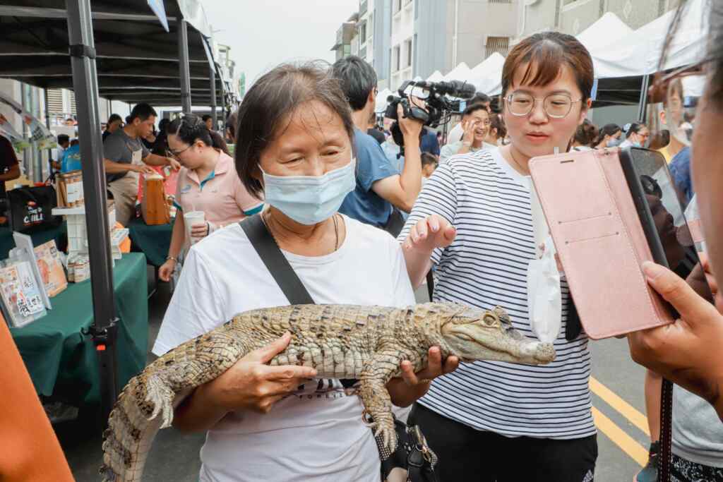 2024義竹鱻樂節，有業者帶來鱷魚讓民眾觸摸，讓人直呼緊張又新鮮。