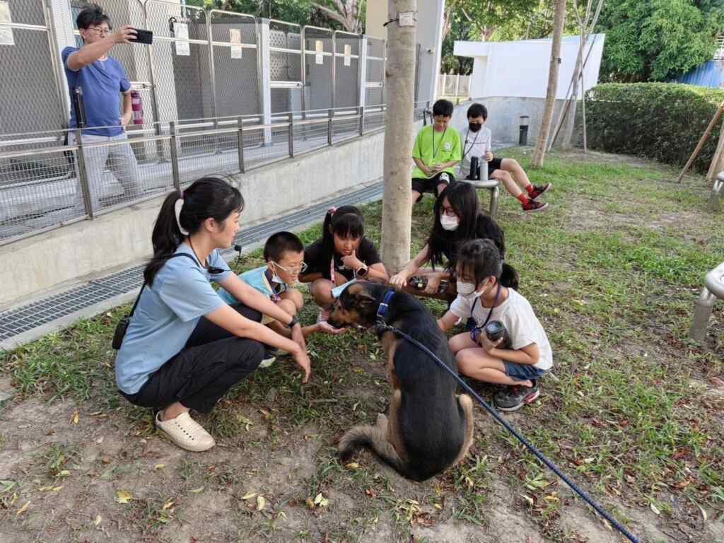 ▲中市軍功國小，小講師們參訪后里動物之家。（記者廖妙茜翻攝）