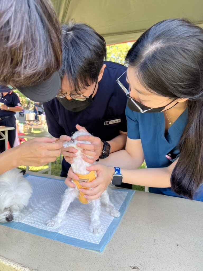 提供「免費狂犬病疫苗施打」。(記者廖承恩翻攝)