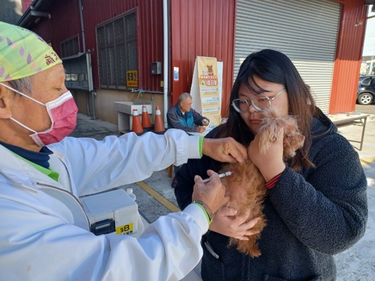 ▲獸醫師為毛孩注射狂犬病疫苗。（台中市動保處提供）