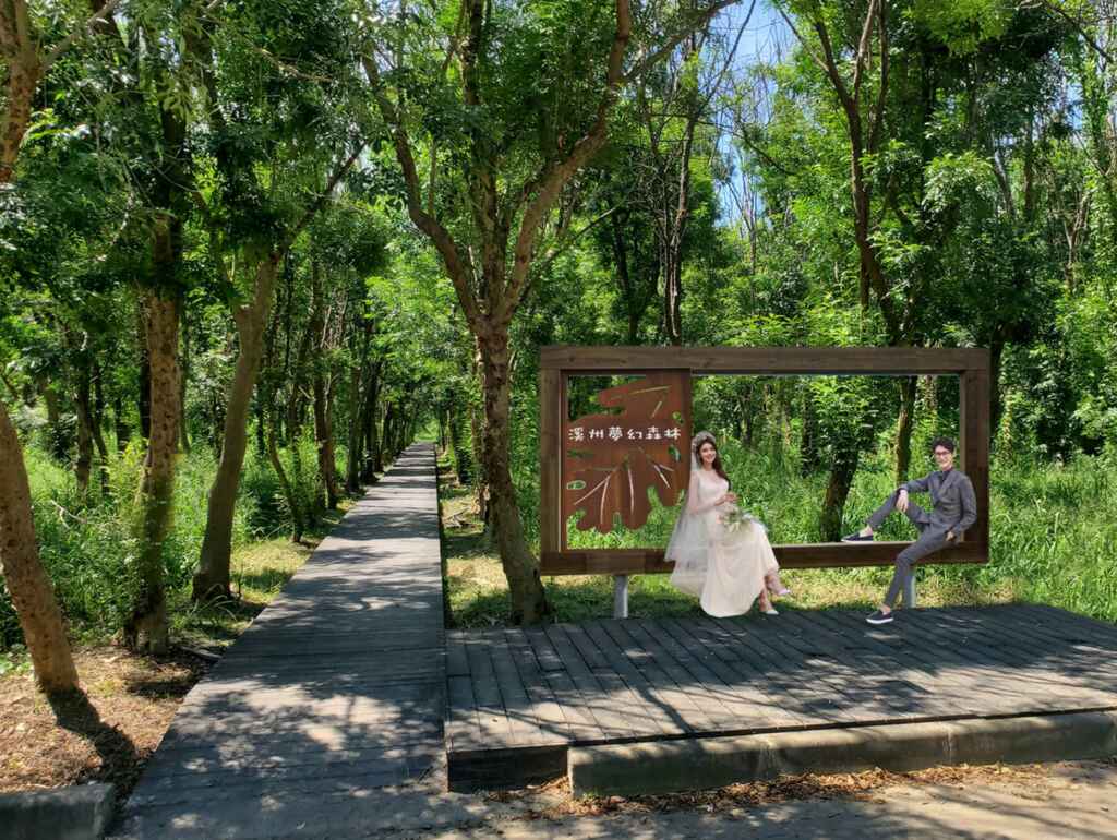 ▲溪州公園森林木棧道逾十年,為婚紗拍攝熱門景點。(彰化縣政府提供)