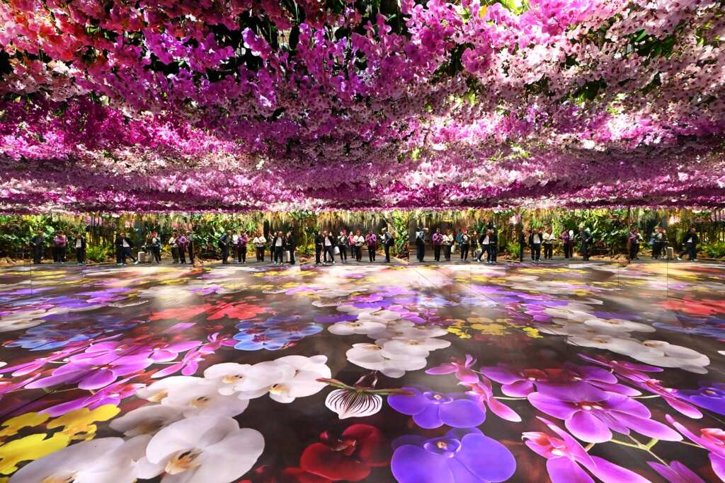 ▲2025亞太蘭花會議暨臺灣國際蘭展盛大開幕,國內外嘉賓雲集。(記者張玉泰攝)
