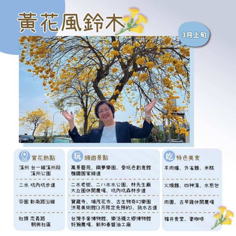 ▲黃花風鈴木的燦爛金黃,彰化縣長王惠美邀請民眾一同沉浸在春日風光,春暖花開來彰化賞花。(彰化縣政府城觀處提供)
