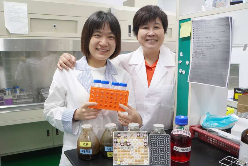 ▲大葉大學藥保系宋祖瑩老師(右)指導張瑞瑜同學(左)研究小花蔓澤蘭的應用。（記者林明佑翻攝）