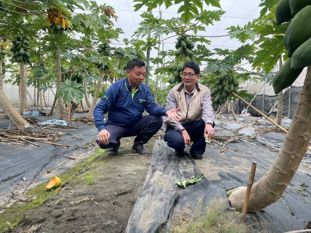 ▲農業部農業藥物試驗所組長謝奉家表示,蟎靈光不僅是防治紅蜘蛛的有效工具,更是推動生物防治技術的重要一步。(記者林明佑攝)