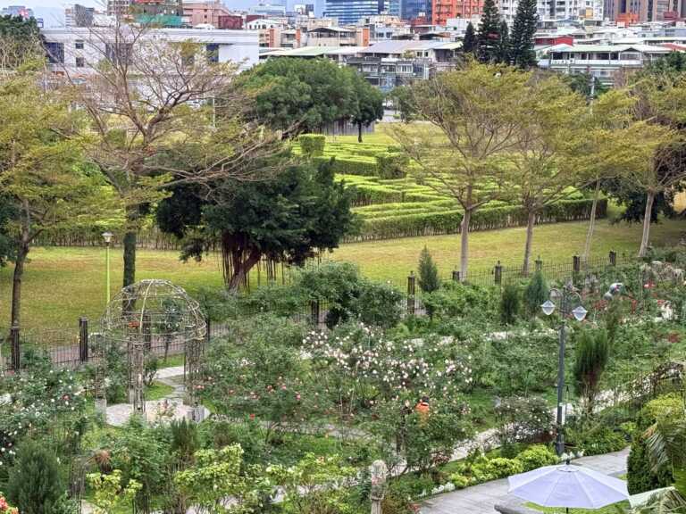 ▲迷宮花園位於臺北玫瑰園花海區旁側。（台北市公園處提供）