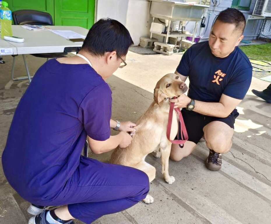 動保處獸醫師幫搜救犬打疫苗