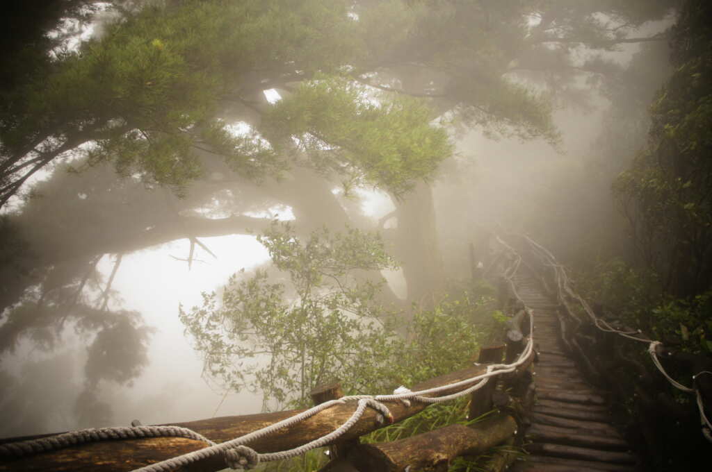 不同時間點上山可能感受到萬里晴朗、視野遼闊，也可能感受到雲霧繚繞，宛如置身仙境。