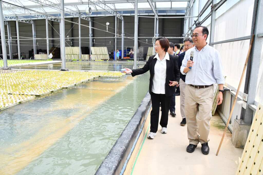 ▲彰化縣長王惠美走訪周慶安博士於大溪設立的「日光蔬活」深水式水耕蔬菜農場,了解AI與綠能結合的未來農業模式。(彰化縣政府提供)