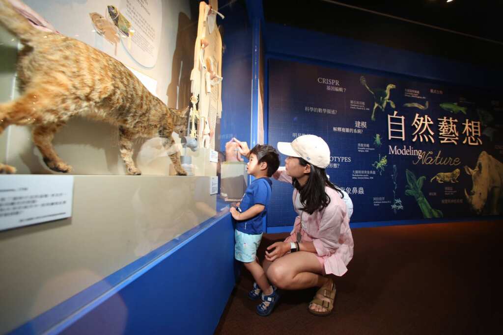 ▲《自然藝想》特展即日起至2026年3月1日於科博館第三特展室展出，歡迎透過這場自然與藝術交織的對談，開啟屬於自己的「自然藝想」。（國立自然科學博物館提供）