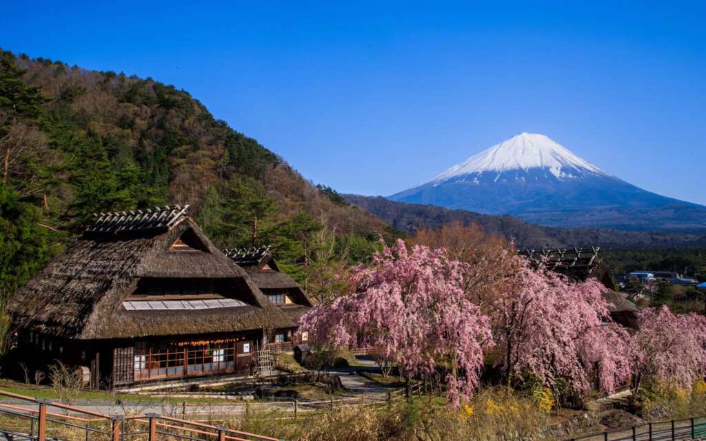 ▲透過推廣活動,讓富士山及周邊美景被更多台灣民眾喜愛。(圖/日本山梨縣富士河口湖町議員外川滿提供)