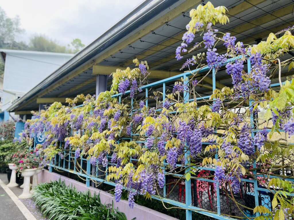 青葉山莊