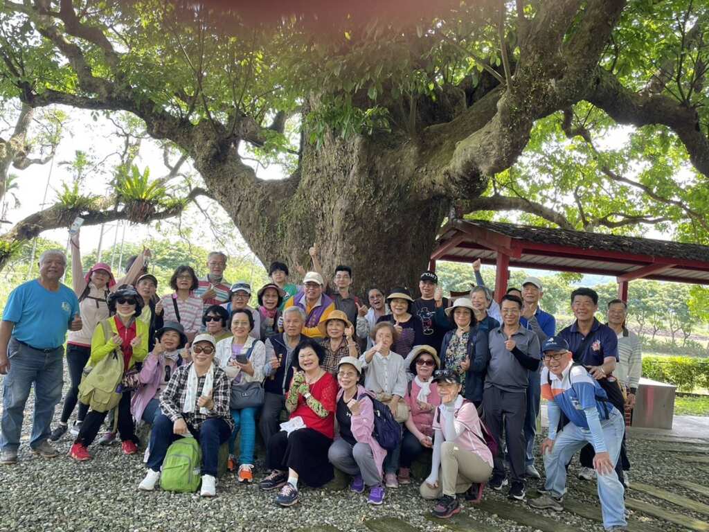 ▲花蓮縣政府辦理的2025「桐花飛舞‧繽紛鳳林」深度小旅行活動於上週登場,共規劃3個梯次,吸引眾多遊客熱情參與。(花蓮縣客家事務處提供)