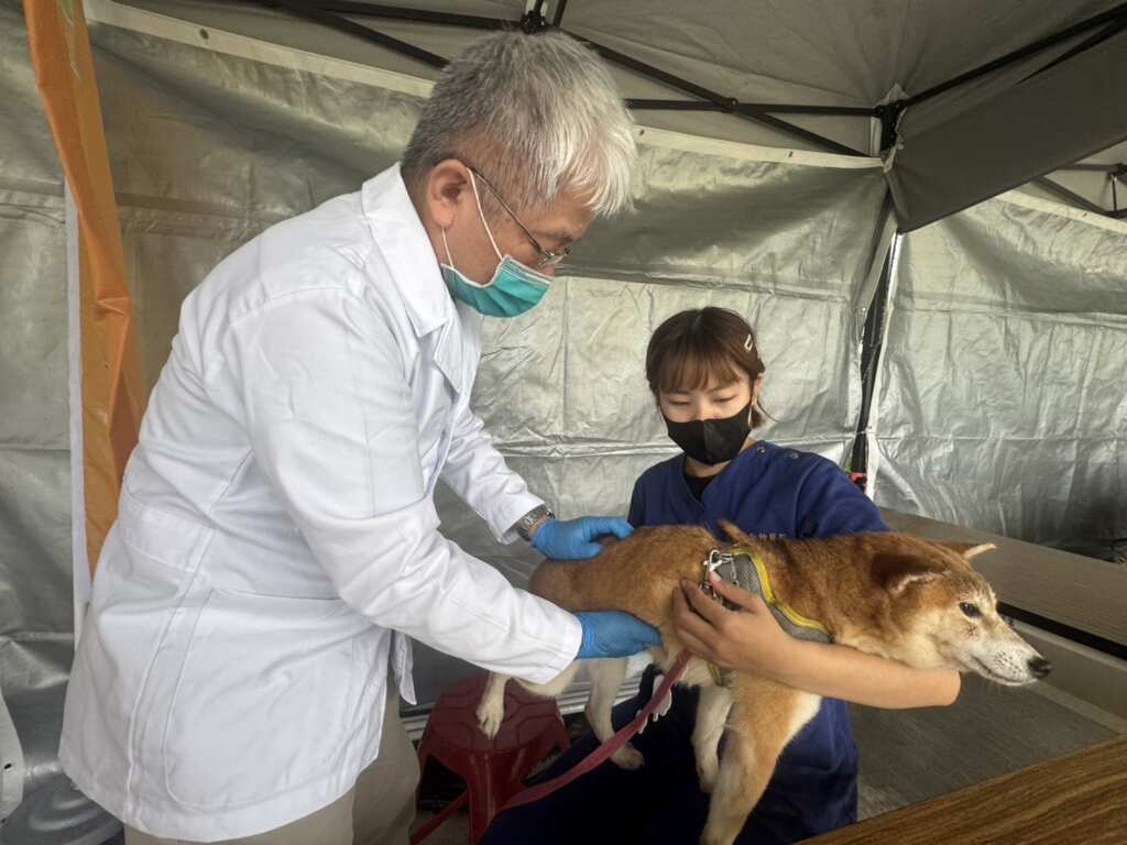 ▲台中傳騏動物醫院的專業醫療團隊，為到場民眾的毛孩進行免費健檢。（秀傳醫院提供）