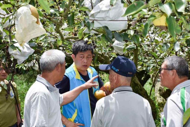 ▲臺中農改場在東勢區辦理「微生物應用對高接梨耐逆境能力提升技術觀摩會」，以推廣相關技術應用，協助產業克服氣候問題。（臺中農改場提供）