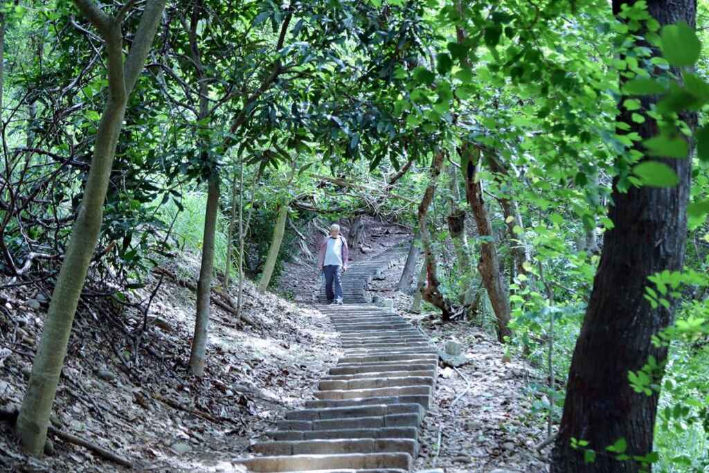 ▲大肚山萬里長城步道。(台中市觀旅局提供)