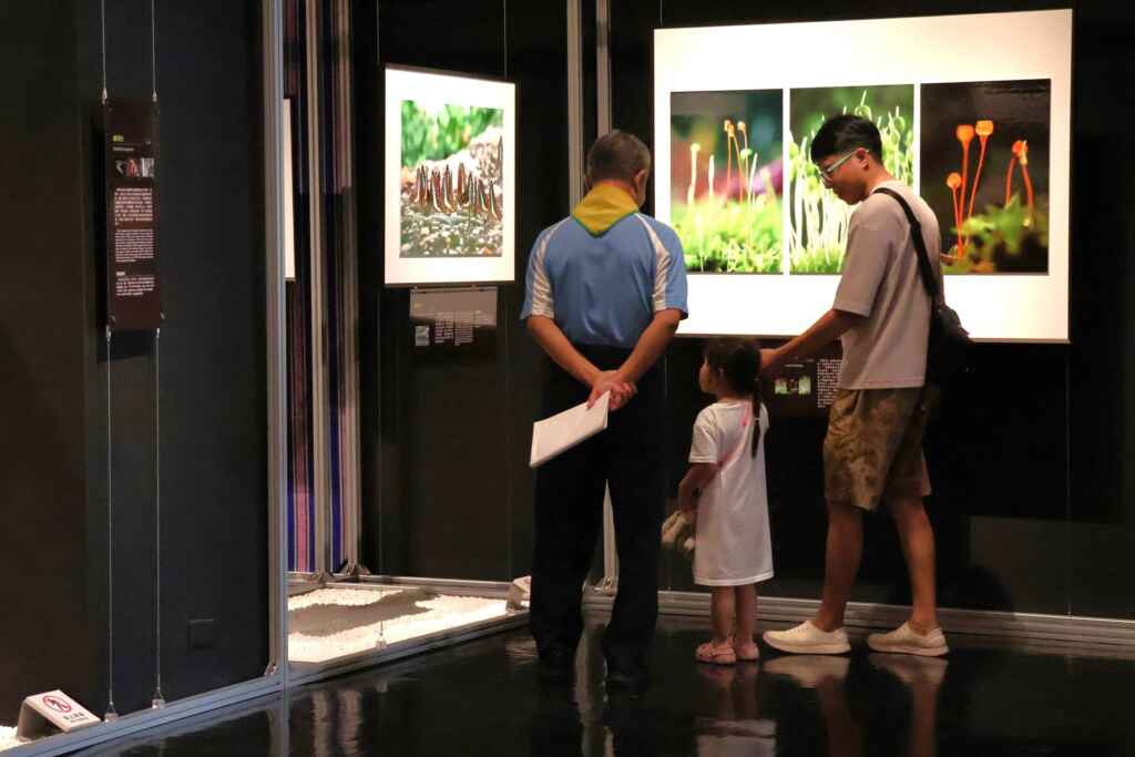 ▲科博館推出《微塵競色≋第8屆科學攝影特展》,廣邀科學迷、攝影愛好者、社會大眾一覽鏡頭下的生態奇觀和自然美景。(國立自然科學博物館提供)