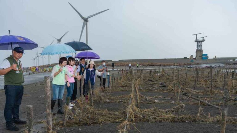 ▲凱米颱風過境台灣，彰化芳苑外海潮間帶因強風豪雨，導致蚵仔大量死亡，立委陳素月接獲陳情，邀請農業部漁業署陳建佑副署長等人前往彰化芳苑外海潮間帶勘查受損情形，爭取將彰化縣納入災損救助區域。（立委陳素月提供）