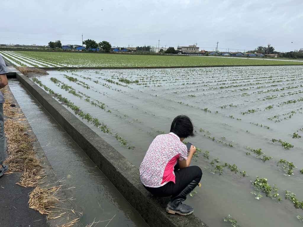 ▲受到颱風凱米影響,彰化縣遭受豪大雨重創,主要降雨量集中在7月25日,加上適逢大潮,導致農田積水至今尚未退去,部分田區甚至淹沒作物,嚴重影響作物的生長。(彰化縣政府提供)