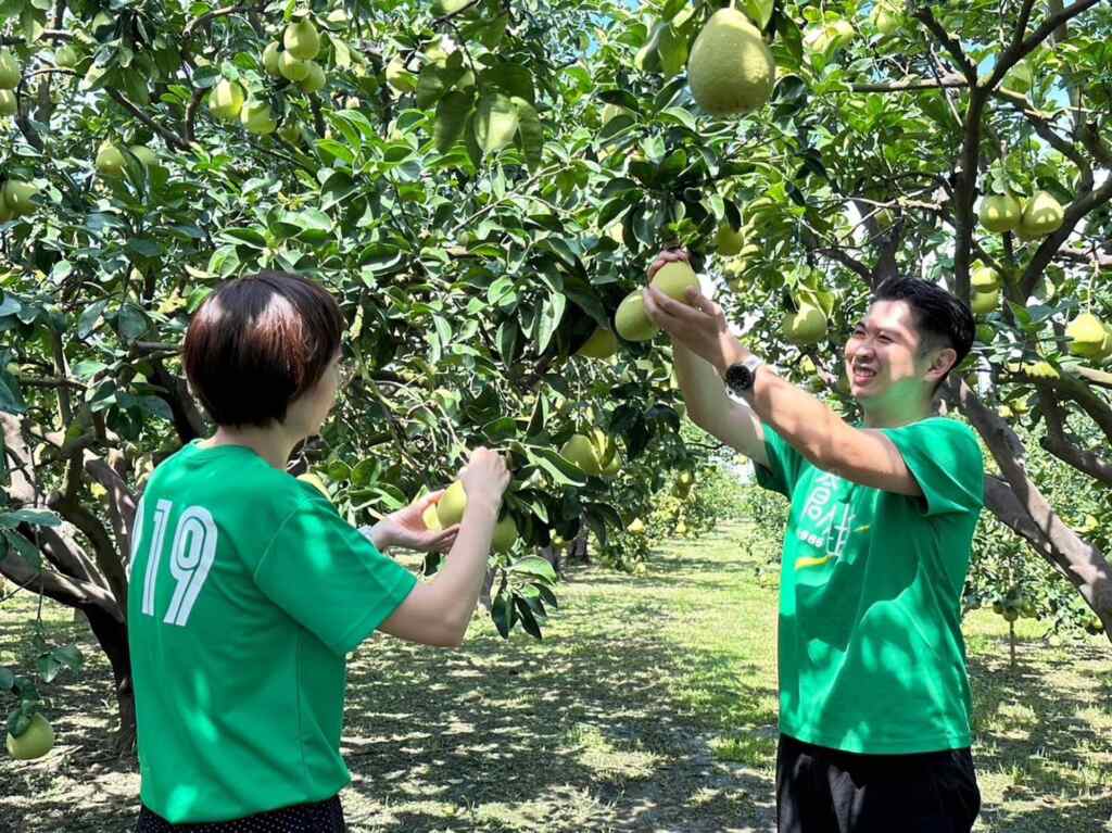 ▲創世彰化長期以來與斗六朱丹灣農家配合公益禮盒，農家夫婦除用心栽培文旦，更是對公益不遺餘力。（創世基金會提供）