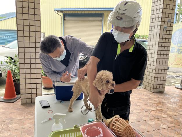 動保所呼籲民眾務必遵守「2不1要」，不接觸野生動物、不棄養家中寵物、每年要帶家中犬貓施打狂犬病疫苗。