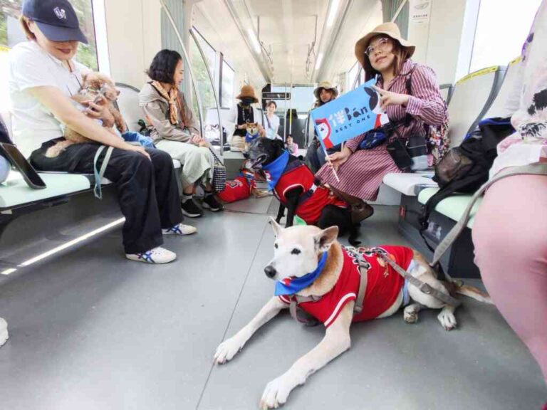 ▲ 「好伴車車～狗狗藝文輕旅行」 除了鼓勵市民搭乘綠色運具外，透過「好伴bàn車車」藝文遊程專車，促進高雄觀光與寵物相關產業。（高雄市政府提供）