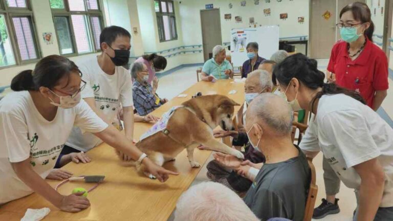 ▲彰化榮譽國民之家響應國際失智症月，近期與台灣動物輔助治療專業發展協會共同合作，將動物輔助治療導入榮家怡園失智專區內，針對園區內長輩辦理系列照護活動。（記者林明佑翻攝）