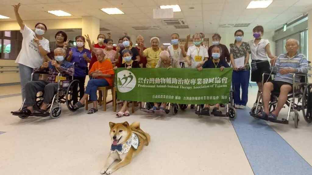 ▲彰化榮譽國民之家與台灣動物輔助治療專業發展協會共同合作，將動物輔助治療導入榮家怡園失智專區內，穩定失智長輩情緒、維持生活功能、增進彼此間人際互動。（記者林明佑翻攝）