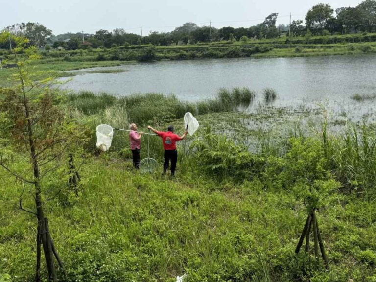 ▲中埔鄉公館滯洪池疑發現鱷魚蹤跡，縣府緊急派員巡查。（嘉義縣政府提供）