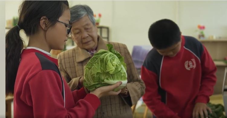 ▲一系列從田園到餐桌的食農教育，點石成金，既照顧在地長者，又能販售「菜舖好農」產物，成為多功能場域。（嘉義縣政府提供）