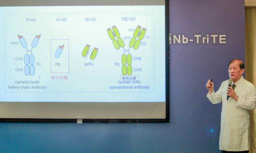 ▲周德陽院長指出，目前市面上的抗體藥物大多受限於單一靶點，SOA101作為新一代奈米三特異性抗體，能夠同時標靶腫瘤表面的PD-L1與HLA-G，解決腫瘤細胞對單一免疫檢查點抗體產生抗性的問題。（中醫大附醫提供）