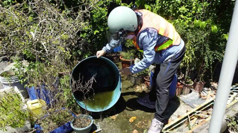 ▲颱風過後容易造成積水而孳生病媒蚊，積極做好居家環境整理整頓，落實「巡、倒、清、刷」登革熱防治四大步驟。（屏東縣政府提供）