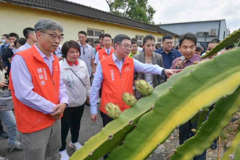 ▲行政院長卓榮泰13日在縣長許淑華的陪同下前往合作社關心，實地了解紅龍果栽種情形。（記者張玉泰攝）